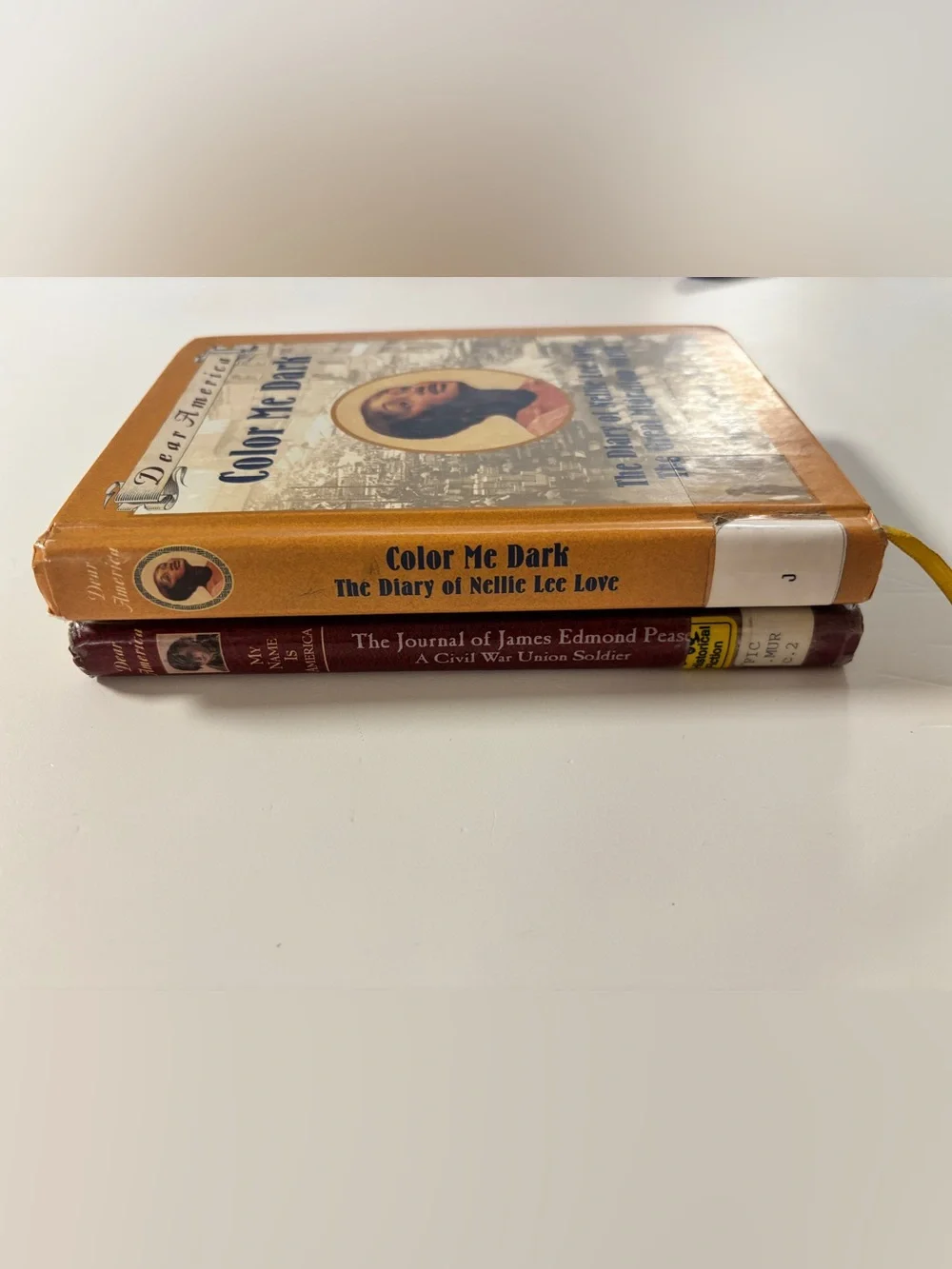 Dear America Book Series Young Adult Reading Bundle of 2 Books